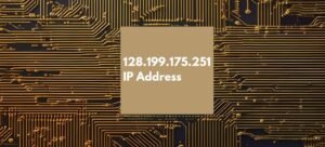 128.199.175.251 IP Address